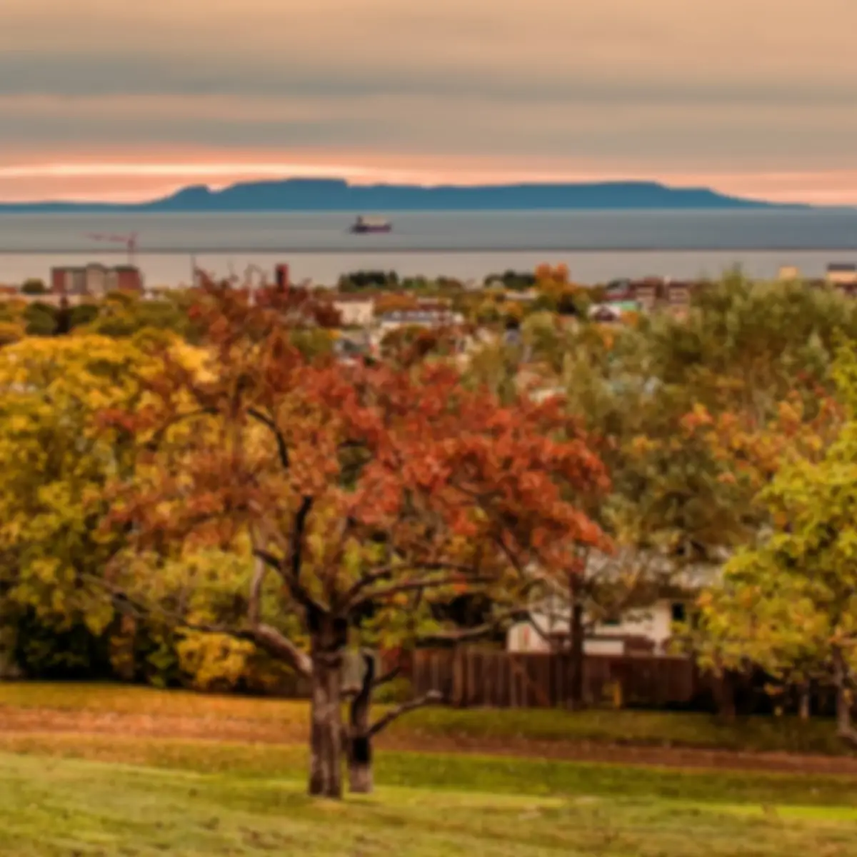 Thunder Bay Harbour